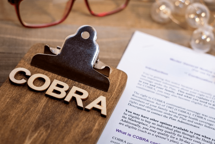 What is COBRA Insurance 2024?